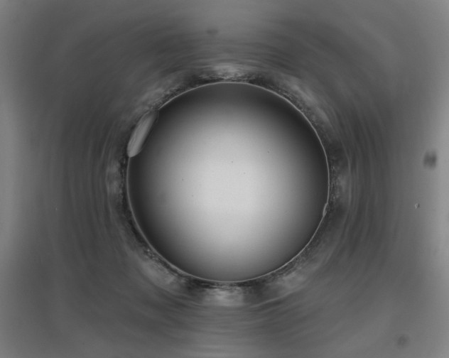 X0000097610317200802291308