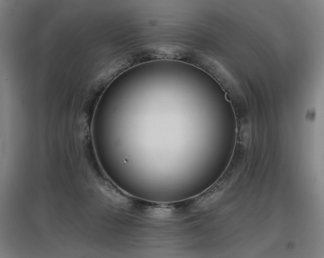 X0000097610318200802291308