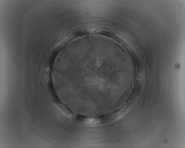 X0000097610319200802291308