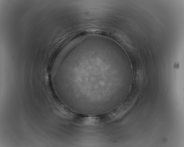 X0000097610320200802291308