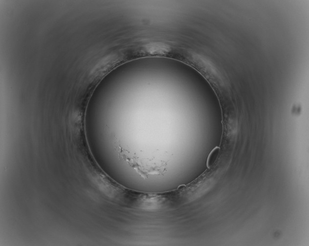 X0000097610321200802291308