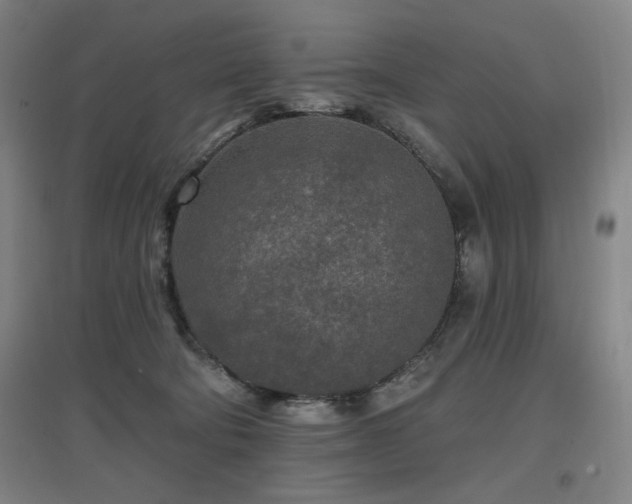 X0000097610322200802291308