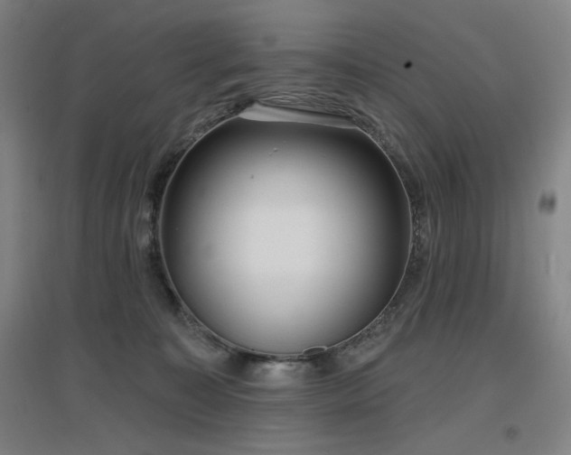 X0000097610323200802291308