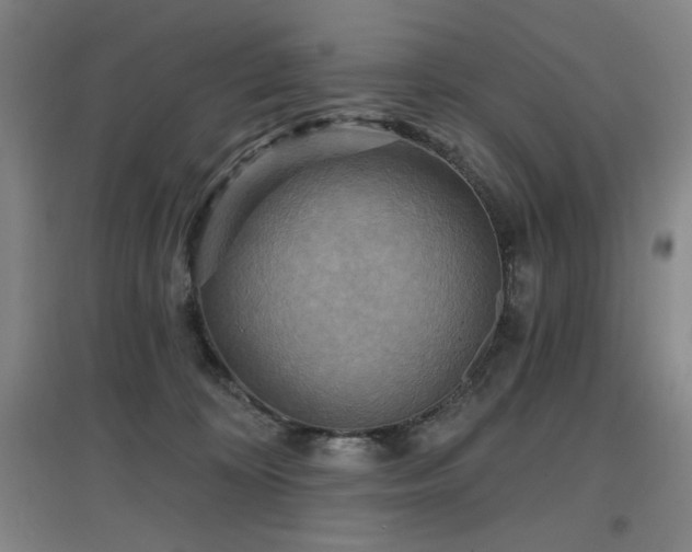X0000097610324200802291308