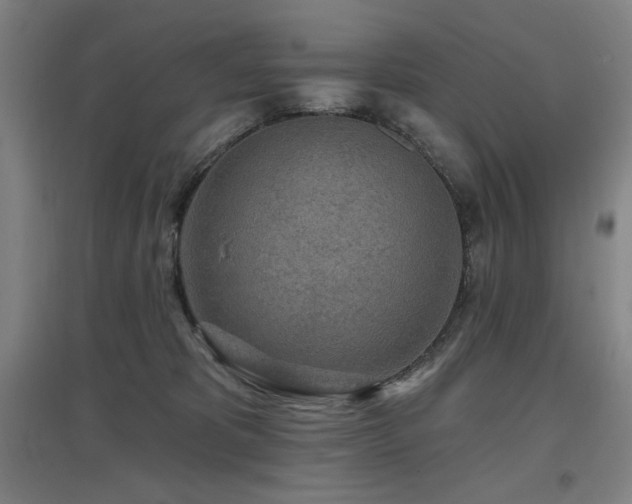 X0000097610325200802291308