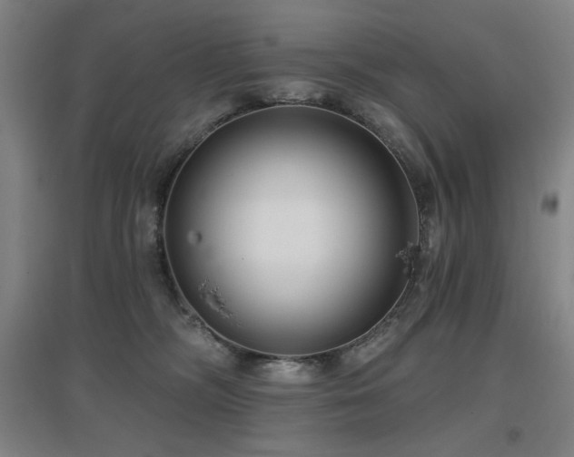 X0000097610326200802291308