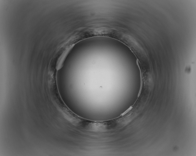 X0000097610327200802291308