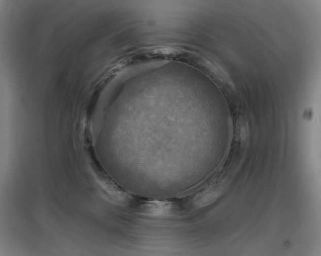 X0000097610328200802291308