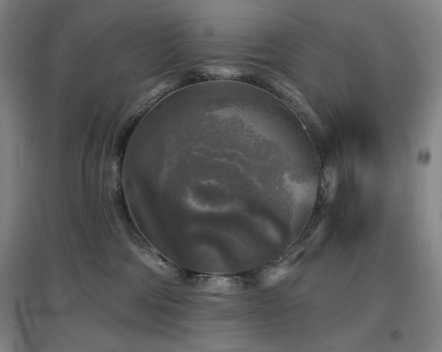 X0000097610330200802291308