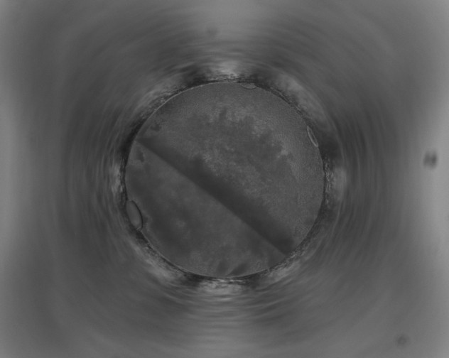 X0000097610331200802291308