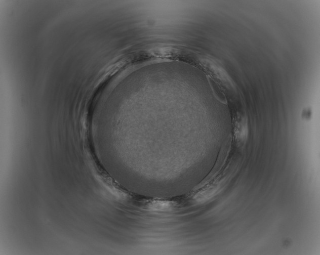X0000097610332200802291308