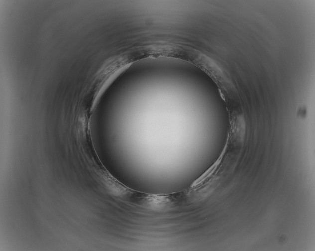 X0000097610333200802291308