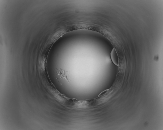 X0000097610334200802291308