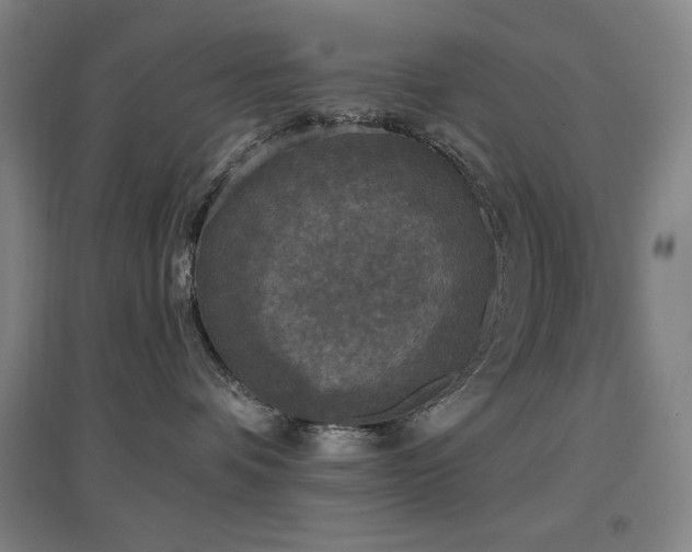 X0000097610336200802291308