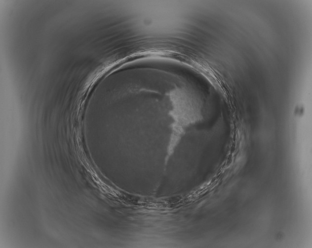X0000097610337200802291307