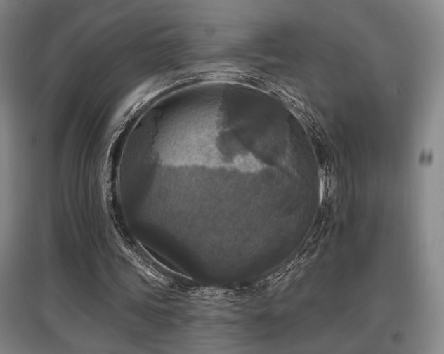 X0000097610339200802291307