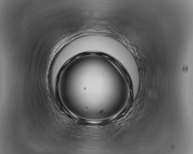 X0000097610340200802291307