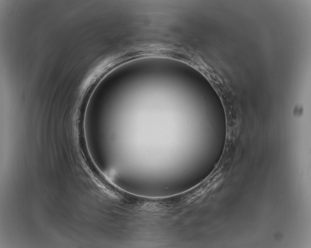 X0000097610341200802291307