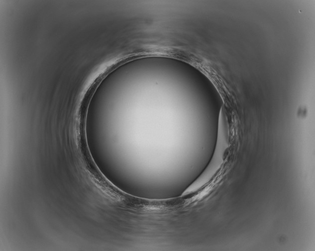 X0000097610342200802291307