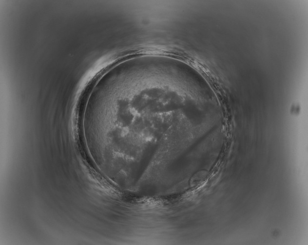 X0000097610343200802291307