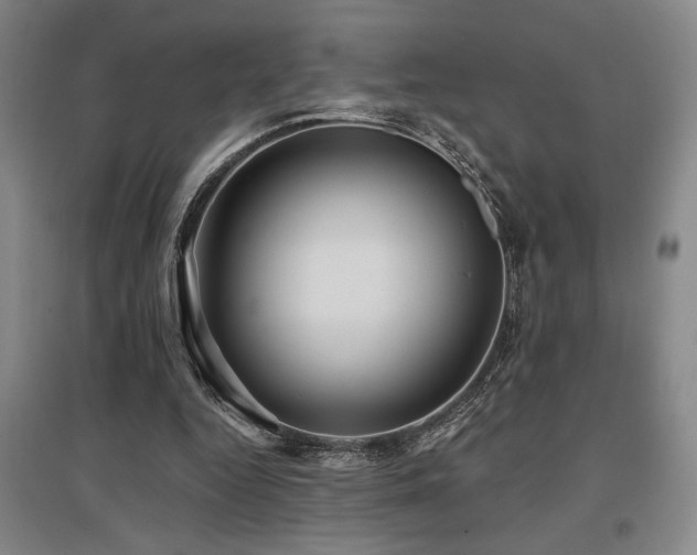 X0000097610344200802291307