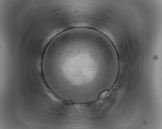 X0000097610345200802291307