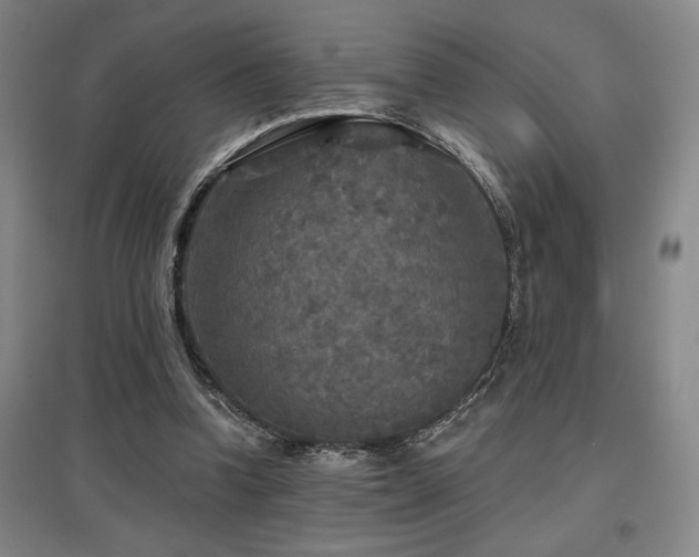 X0000097610346200802291307