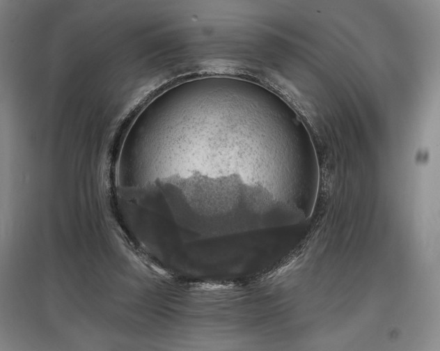 X0000097610347200802291307