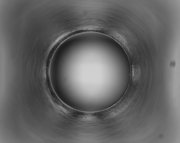 X0000097610348200802291307