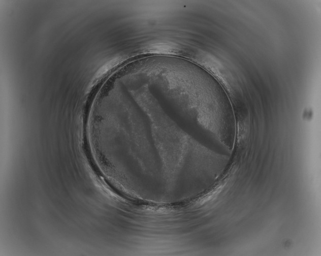 X0000097610349200802291307