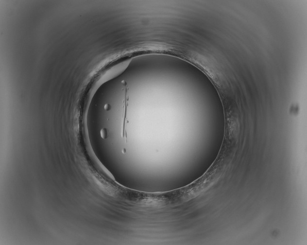 X0000097610350200802291307