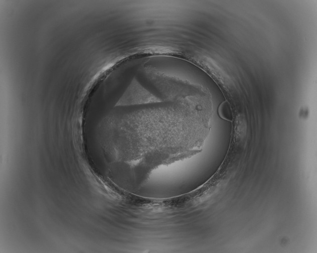 X0000097610351200802291307