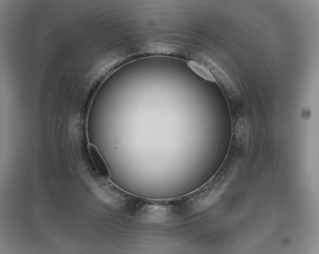 X0000097610352200802291307