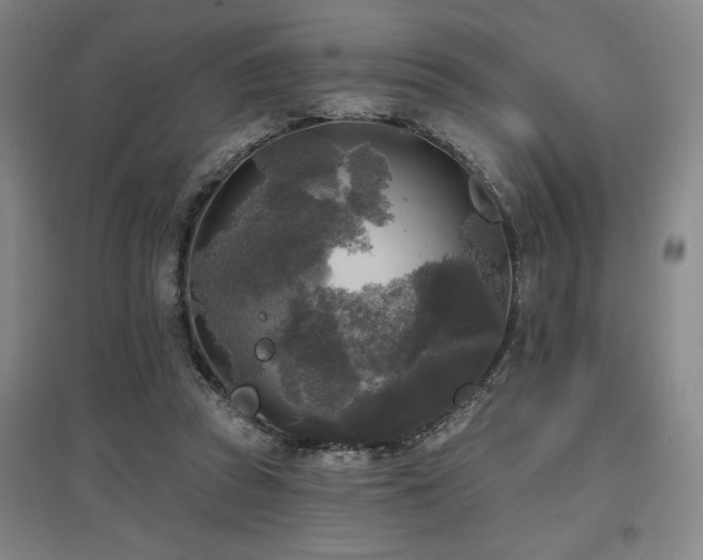 X0000097610353200802291307