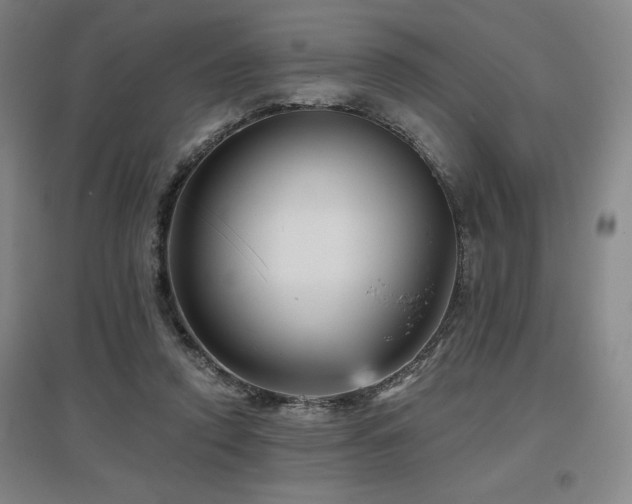 X0000097610354200802291307