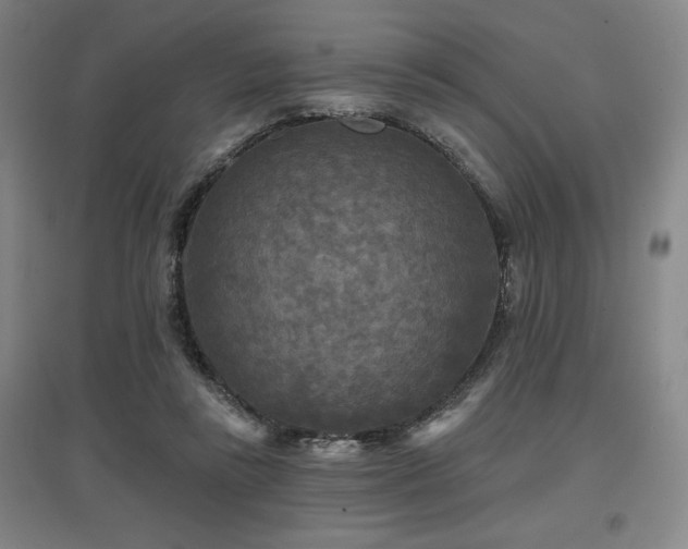 X0000097610355200802291307