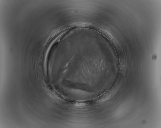 X0000097610357200802291307