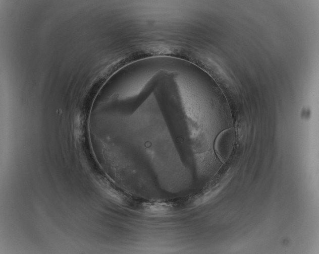 X0000097610359200802291307