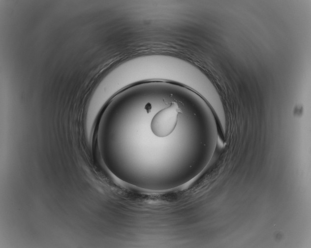 X0000097610360200802291307