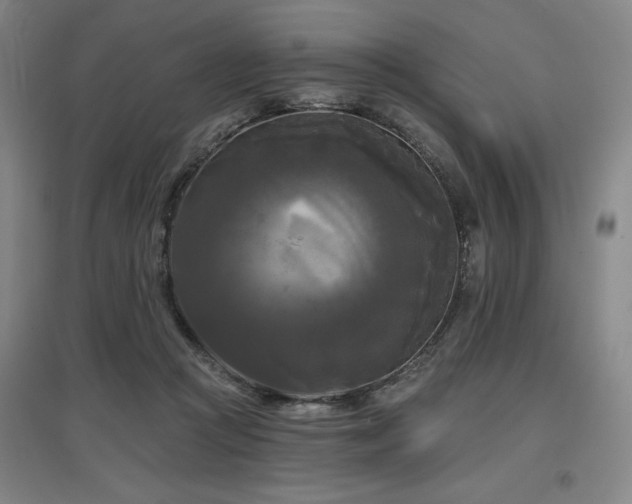 X0000097610361200802291307