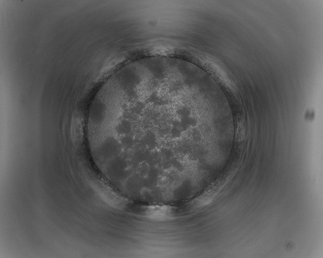 X0000097610363200802291307