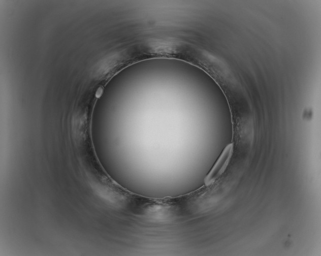 X0000097610364200802291307