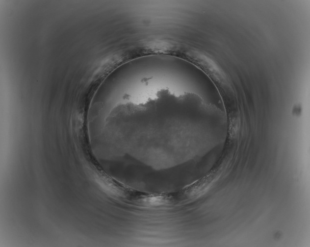 X0000097610365200802291307