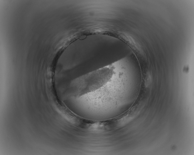 X0000097610366200802291307