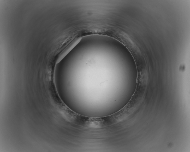 X0000097610368200802291307