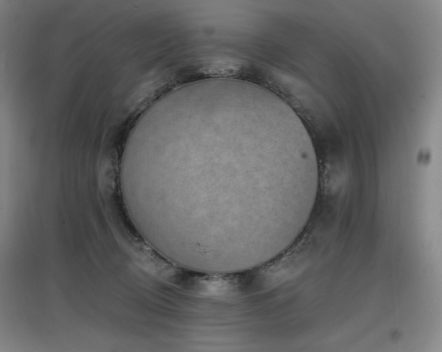 X0000097610370200802291307