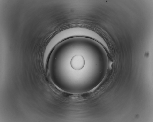 X0000097610372200802291307