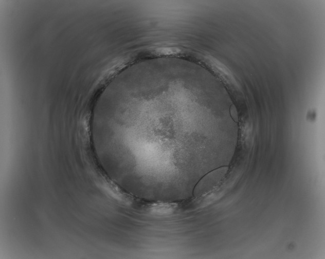 X0000097610373200802291307