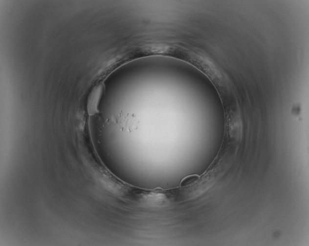 X0000097610374200802291307