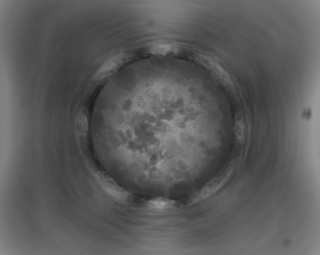 X0000097610375200802291307